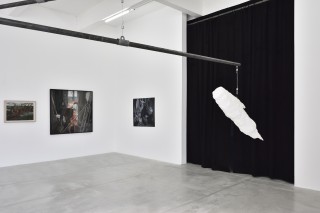 PeterWachtler avantapres ConsortiumMuseum2024 PhotoRebeccaFanuele DSC2500 copie