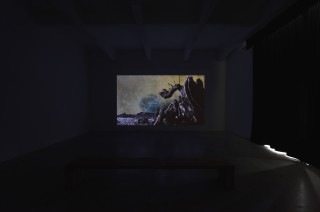 PeterWachtler avantapres ConsortiumMuseum2024 PhotoRebeccaFanuele DSC2556 copie