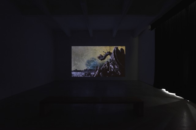 PeterWachtler avantapres ConsortiumMuseum2024 PhotoRebeccaFanuele DSC2556 copie