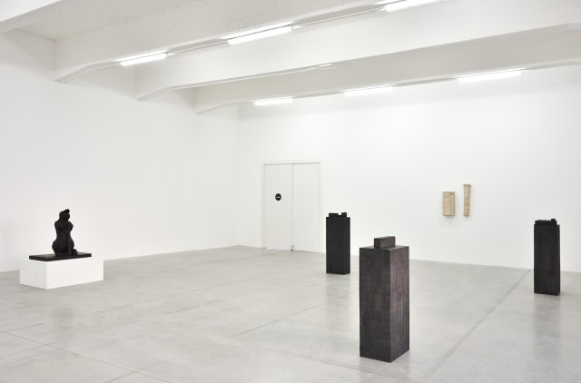 PeterWachtler avantapres ConsortiumMuseum2024 PhotoRebeccaFanuele DSC2588 copie