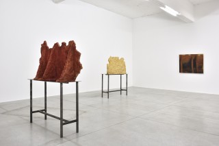 PeterWachtler avantapres ConsortiumMuseum2024 PhotoRebeccaFanuele DSC2614 copie