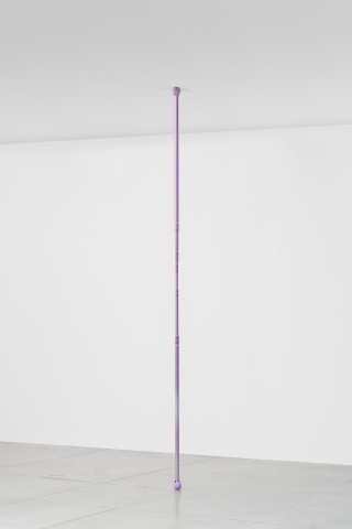 Chadwick Rantanen Telescopic Pole [Damoo/Distressed Lavender], 2025 Anodized aluminum, plastic, walkerballs Dimensions variable  (from 260 - 800 cm. // 102 to 315 in.)