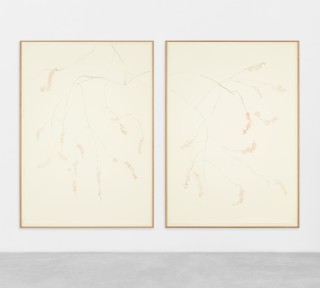 1.2 JBAR2308011 12 web