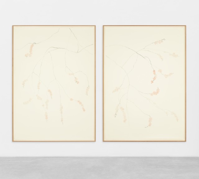 1.2 JBAR2308011 12 web