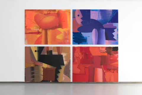 Lodovico Corsini Julien Meert