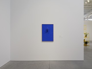 Warehouse DV 0225 096 copie