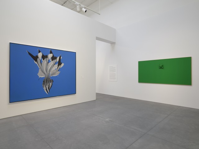 Warehouse DV 0225 098 copie