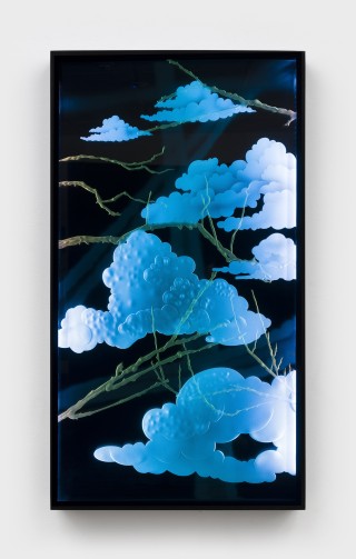 MCOP2302001  large 11 copie