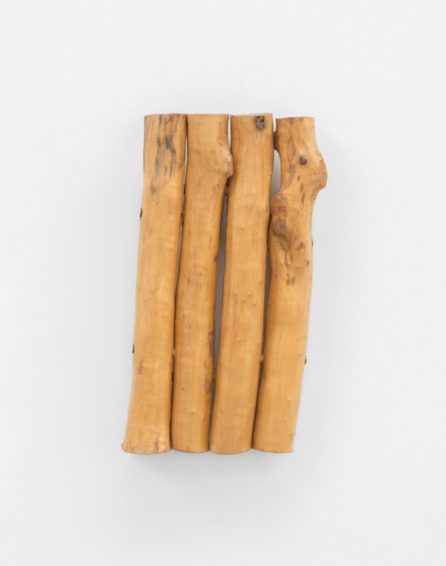 RHEY1811011 image copie