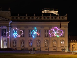Fridericianum Matt Copson Photo Nicolas Wefers 006 Lo