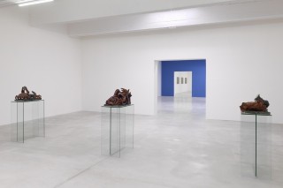 P Wächtler 2016 01