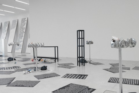 Lili reynaud dewar   museion©marina faust 40 copy copie