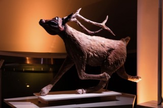 Capture d’écran 2025 09 25 à 14.45.26 copie