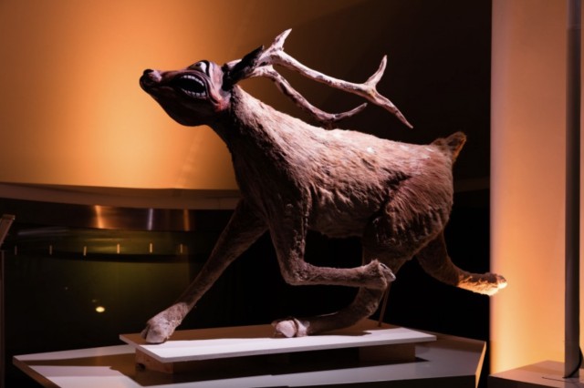 Capture d’écran 2025 09 25 à 14.45.26 copie