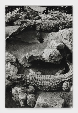 Alassan Diawara Untitled, 2026 Baryta print 120 x 80 cm. 47 1/4 x 31 1/2 in. Ed. 5 + 2 AP