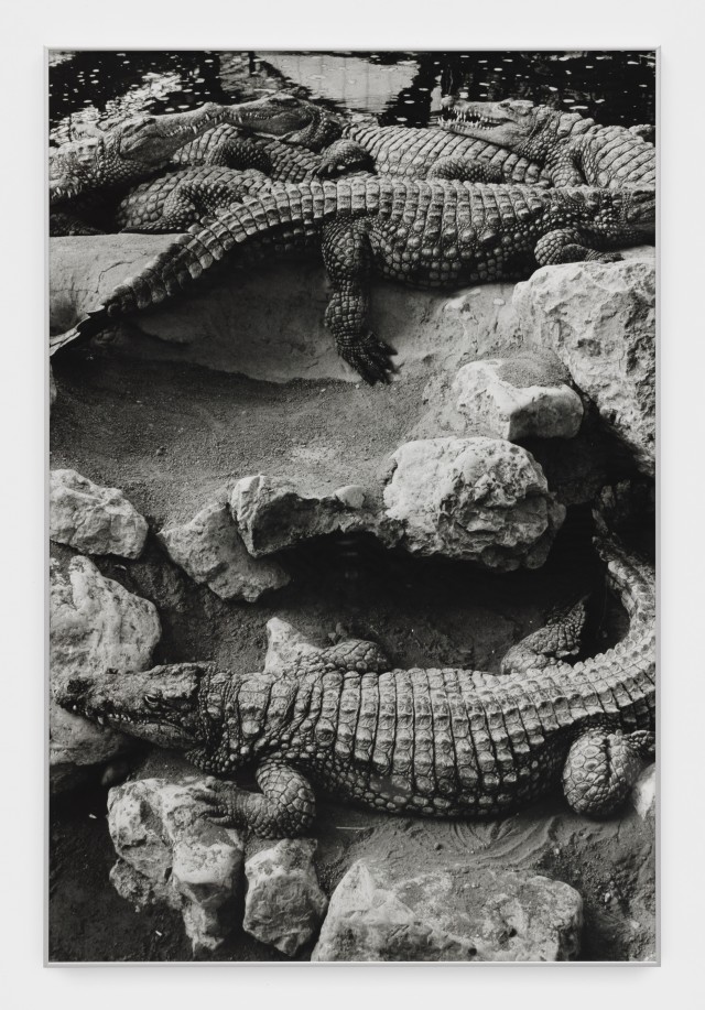 Alassan Diawara Untitled, 2026 Baryta print 120 x 80 cm. 47 1/4 x 31 1/2 in. Ed. 5 + 2 AP