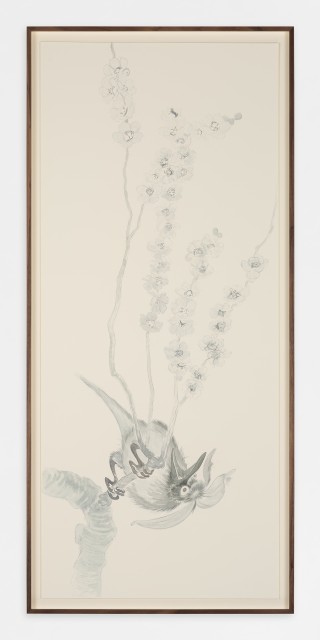 1 JBAR2505002 web
