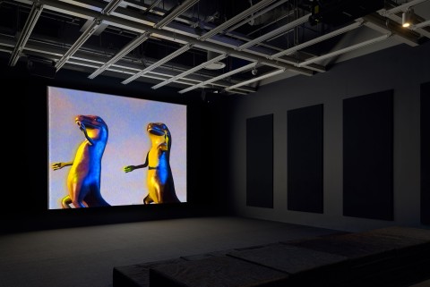 WMAA 2 LIZARDS INSTALL 03A SM