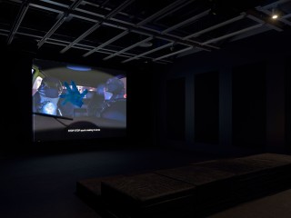 WMAA 2 LIZARDS INSTALL 03B lighter SM