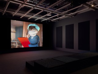 WMAA 2 LIZARDS INSTALL 03D lighter SM