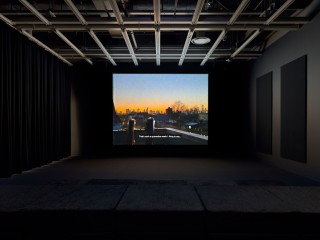 WMAA 2 LIZARDS INSTALL 04A SM