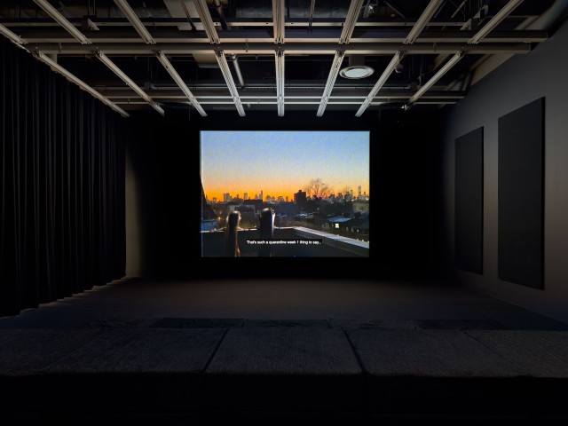 WMAA 2 LIZARDS INSTALL 04A SM