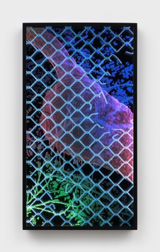 MCOP2302001  smaller 11