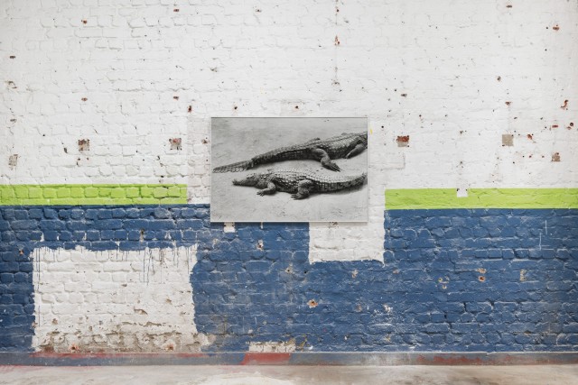 First Date Exhibition | Contemporary Art Exhibition in Brussels | Lodovico Corsini