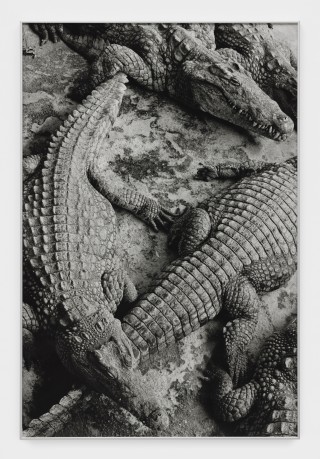 Alassan Diawara Untitled, 2026 Baryta print 120 x 80 cm. 47 1/4 x 31 1/2 in. Ed. 5 + 2 AP