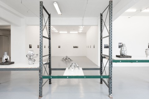 Galeri Opdahl, Lili Reynaud Dewar, Exhibition view (5), credit Bitmap   Markus Johansson.jpg