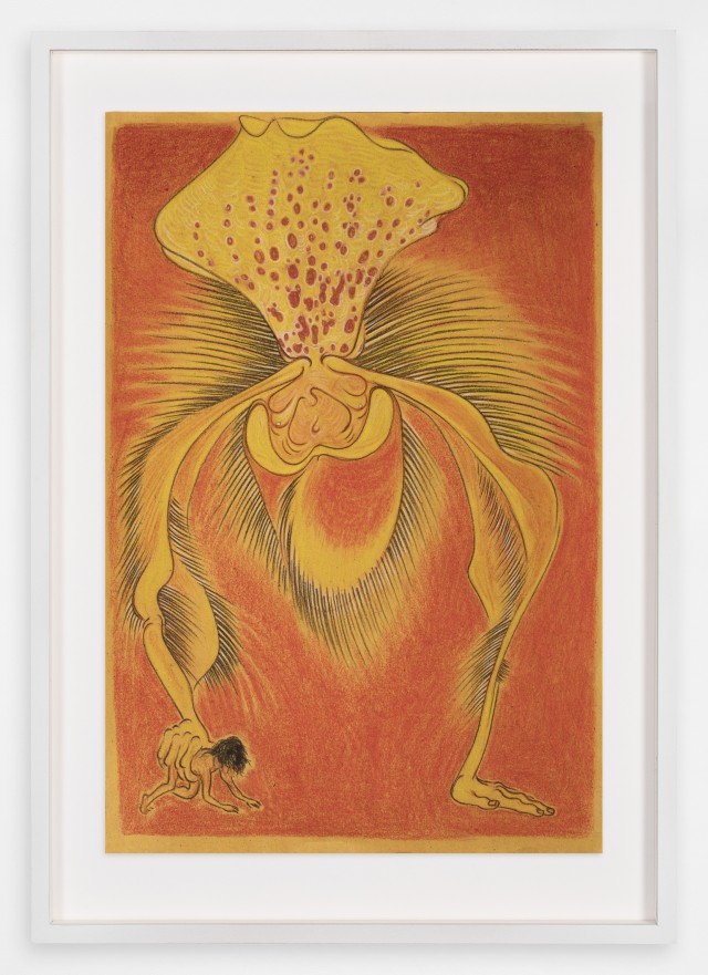 Javier Barrios_pastel on paper