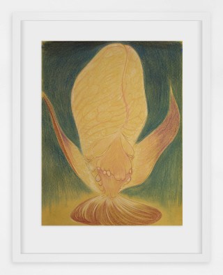 Javier Barrios_pastel on paper